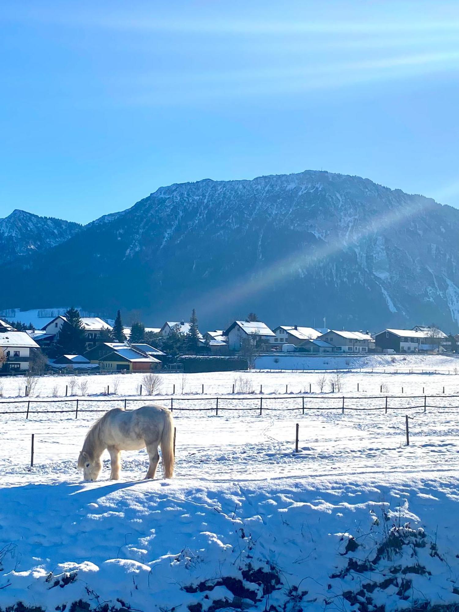Mit Bergblick In Bayerischen Alpen