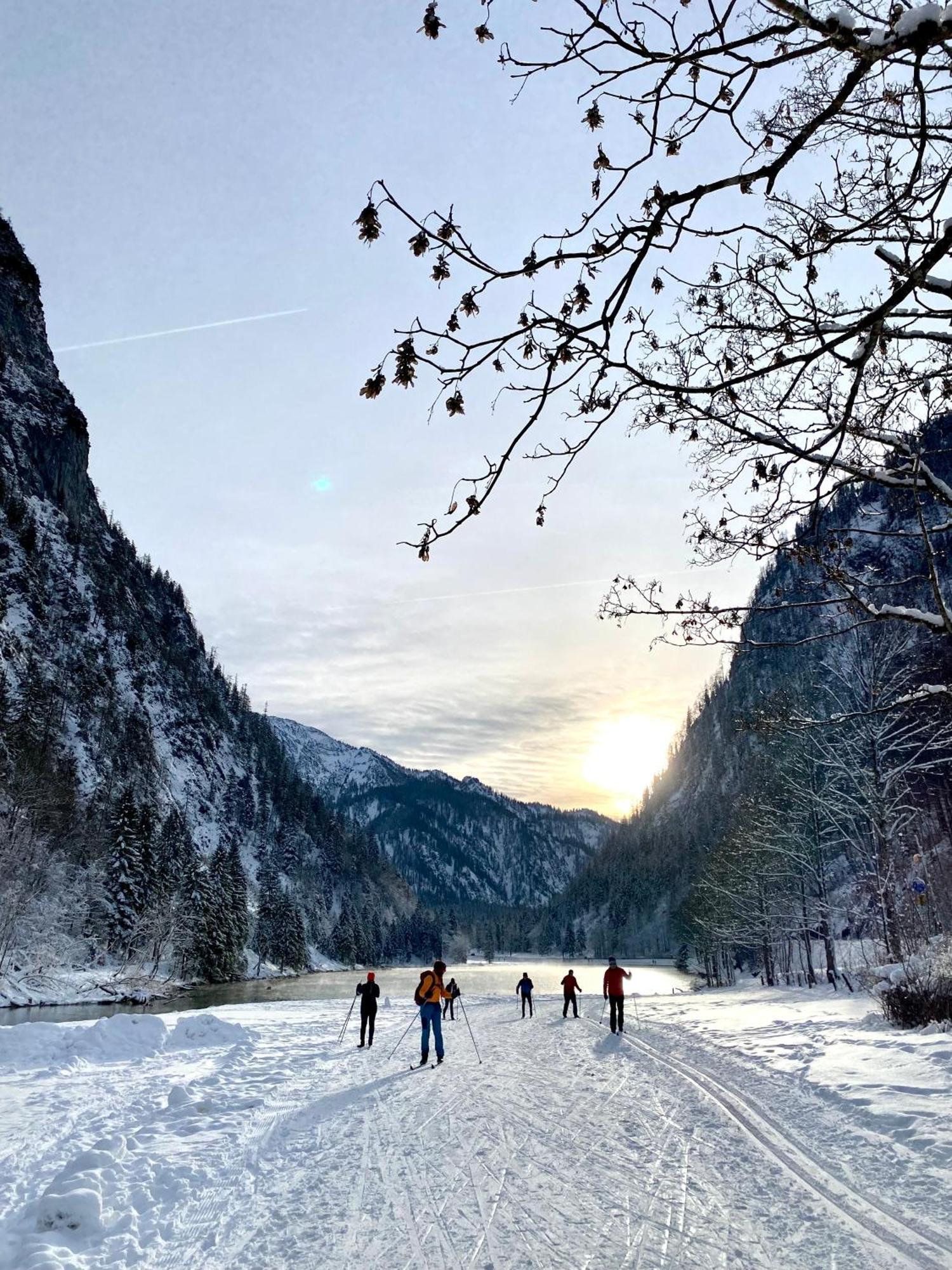 Mit Bergblick In Bayerischen Alpen * Ruhpolding