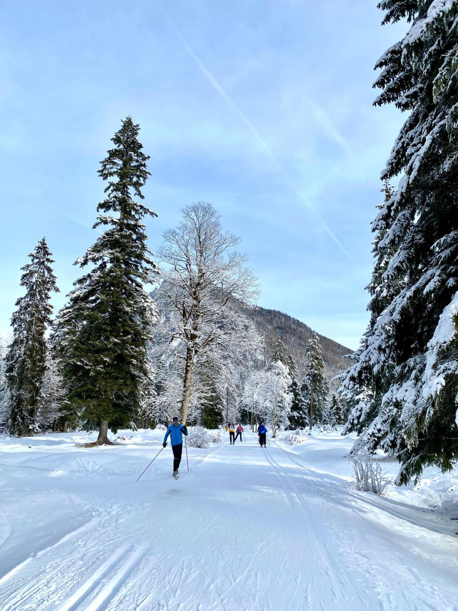 Mit Bergblick In Bayerischen Alpen Apartment Ruhpolding